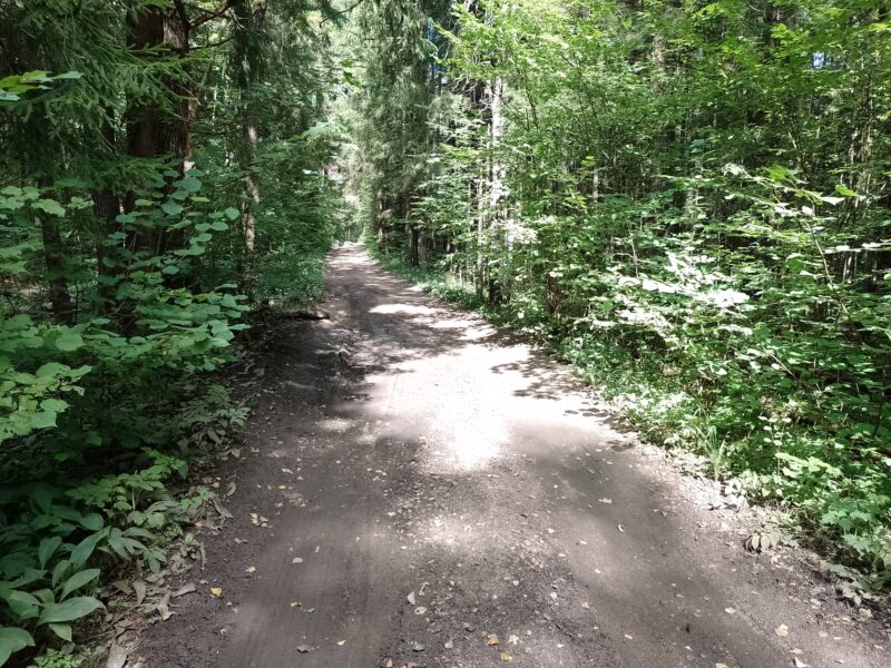 Автодорога (лыжероллеры) Н Горбово — Лызлово, состояние на 28 августа 2025 по отзыву, фото 11. 